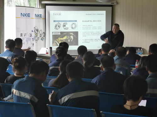 NKE軸承技術(shù)交流助生產(chǎn)，互通有無(wú)共促發(fā)展